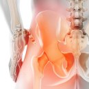 위풍당당정형외과의원 이미지