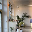 오늘의 아이 | 화성 남양읍 디저트카페 오늘의꾸움 내돈내산 후기