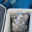 대성1호 이미지