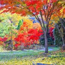 잔아문학박물관 이미지