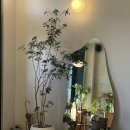 스튜디오봄울 이미지