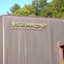 충주고구려비전시관 이미지