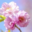 예담산부인과의원 이미지