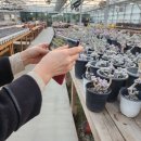 박정현농장 이미지