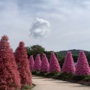 피플펜션 | 고냉이와 함께 하는 모녀 여행 포천으로 떠나요 🚗