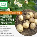 화천몰 이미지