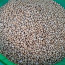 다락골신전마을 이미지