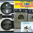 크린토피아코인워시수원영통