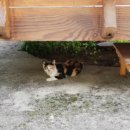 상기마을회관 이미지