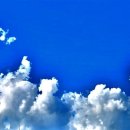 군산시니어클럽 이미지