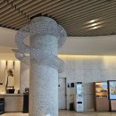 소노펠리체 델피노 이미지