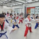 경희대엘리트태권도장 이미지