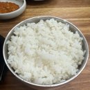 청년곰탕 | 창원 중동 목민곰탕 소답동 갈비탕 맛집 밥집 방문 후기