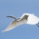 백로마을 이미지