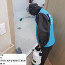 금빛크린 이미지