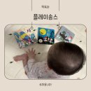 플레이송스 추천 피아노 새 캠핑 돌아기 사운드북 내돈내산 후기