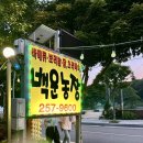 흙사랑 농장 | [경기/수원] 기안84 맛집 백운농장 내돈내산 후기(위치/메뉴/가격/주차/내부)