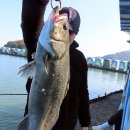 대부도바다낚시터 | 대부도바다낚시터: 대부도의 숨은 낚시 보석을 만나다 🎣