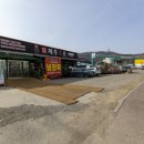 제주흑돈 이미지