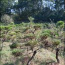 여송농장 이미지