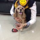 이윤세동물병원 이미지