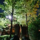 [야간]단전호흡 이미지