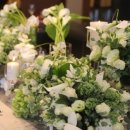 플로리스트(금) 이미지