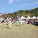 용문상회 | 2025 이천쌀 문화축제(10.20.~26.) 일정, 예매, 라인업, 숙박, 맛집, 주차 사전준비 꿀팁
