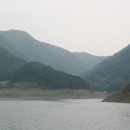 하나호 이미지