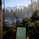 더포레스트 이미지