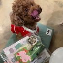 라라까까 이미지