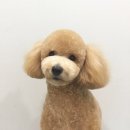 그레이트 동물병원 이미지