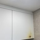 판교로743번길 이미지