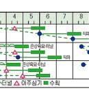 오크린 티스토리
