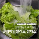 한작골농장 | 거북이농장 유러피안 샐러드 쌈채소 신선채소 한박스 순삭후기