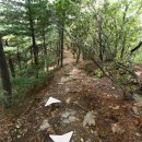 국립유명산자연휴양림 이미지