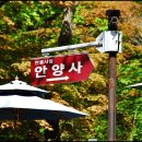 절터골1 티스토리