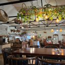 소리나팔꽃 | 🏍️[음성가볼만한곳] 음성맛집 브리지데이카페 할리 스트리트 글라이드 솔투어 후기 | 가을 라이딩 추천 코스