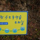 수도녹색숲모티길 이미지