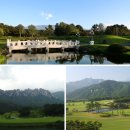 소나무무인호텔 이미지