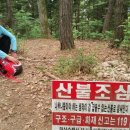 박창원한의원 네이버블로그