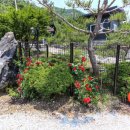 송이펜션민박 이미지