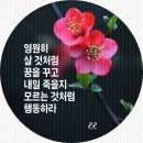 아프레 이미지