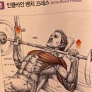 무지프레스