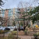 압구정-116 이미지