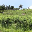 오미농장 이미지