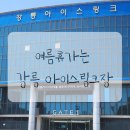 강릉실내빙상장 게이트4 앞 | 강릉 아이스링크장 실내빙상장 강릉여행