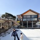 파주힐링캠프 | 서울근교 당일치기 글램핑 추천 파주 아이와 동화힐링캠프 재방문