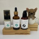 반려동물을 위한 천연아로마 힐링제품 원데이 클래스 | [반려견 아로마 DIY 클래스] 강아지 아로마 천연제품 만들기 수업 | 영등포·당산 에버굿센트 공방