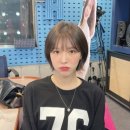 엘린헤어 이미지